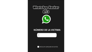 Cómo espiar WhatsApp con el número de teléfono únicamente