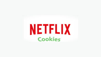 ¿Cómo ver Netflix gratis con las cookies?