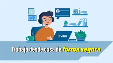 Citeia